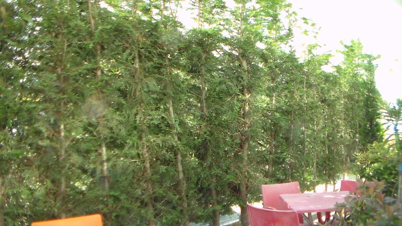 Shkoder Hotel Temali Exteriör bild