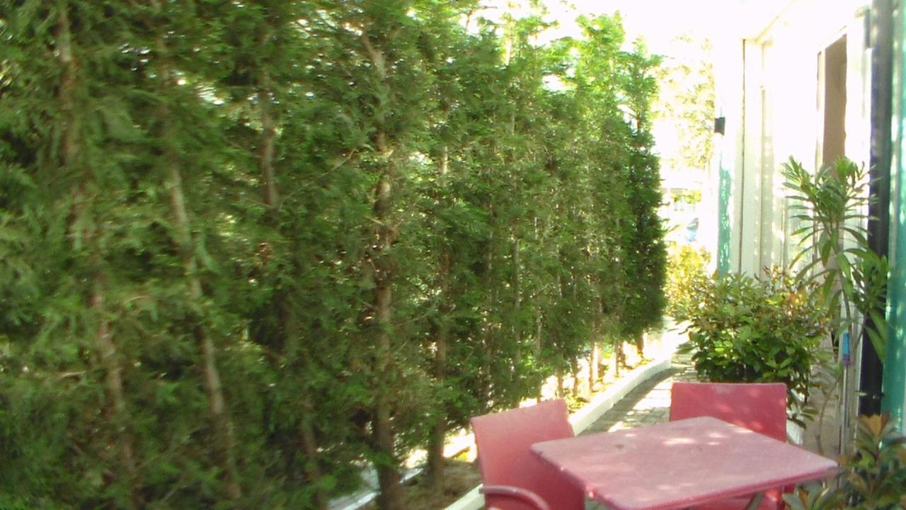 Shkoder Hotel Temali Exteriör bild